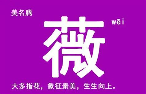 薇名字|薇字的名字寓意是什么意思 薇字的意思